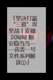 坚决打赢“三夏”攻坚战丨麦穗沉甸甸 粮安稳当当——省委一号文件系列解读①
