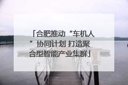 合肥推动“车机人”协同计划 打造聚合型智能产业集群
