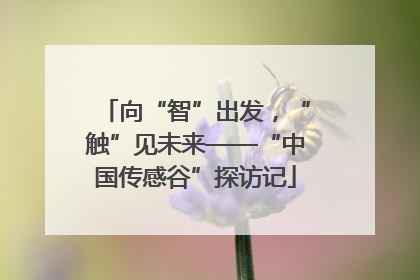 向“智”出发，“触”见未来——“中国传感谷”探访记
