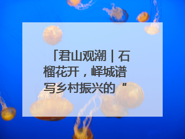 君山观潮｜石榴花开，峄城谱写乡村振兴的“新”篇章