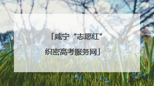 咸宁“志愿红”织密高考服务网
