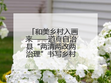 和美乡村入画来——道真自治县“两清两改两治理”书写乡村振兴新答卷