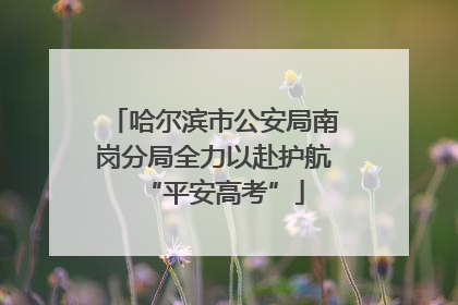 哈尔滨市公安局南岗分局全力以赴护航“平安高考”