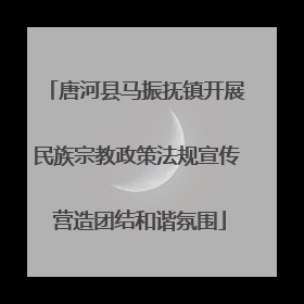 唐河县马振抚镇开展民族宗教政策法规宣传 营造团结和谐氛围