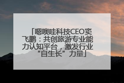 嗯噢哇科技CEO窦飞鹏：共创旅游专业能力认知平台，激发行业“自生长”力量