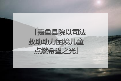 嘉鱼县院以司法救助助力困境儿童点燃希望之光