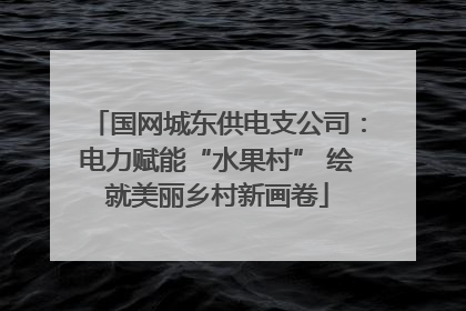 国网城东供电支公司：电力赋能“水果村” 绘就美丽乡村新画卷