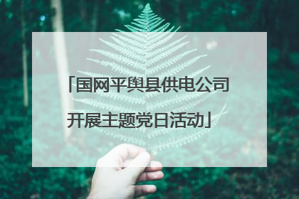 国网平舆县供电公司开展主题党日活动