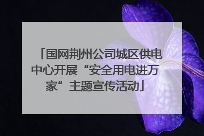 国网荆州公司城区供电中心开展“安全用电进万家”主题宣传活动