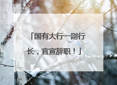 国有大行一副行长，官宣辞职！