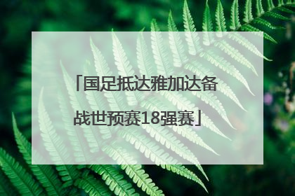 国足抵达雅加达备战世预赛18强赛