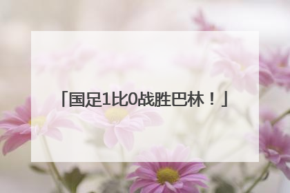 国足1比0战胜巴林！