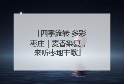 四季流转 多彩枣庄｜麦香染夏，来听枣地丰歌