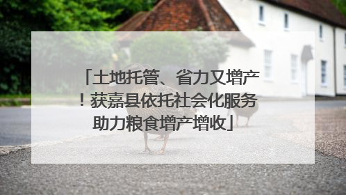 土地托管、省力又增产！获嘉县依托社会化服务助力粮食增产增收