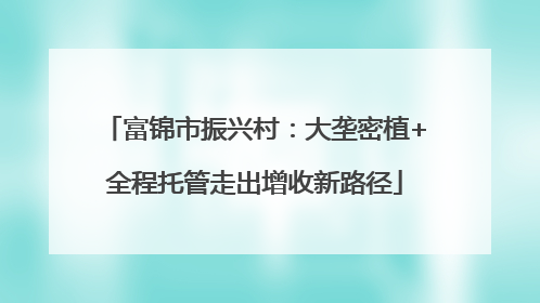 富锦市振兴村：大垄密植+全程托管走出增收新路径