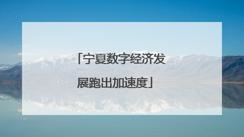 宁夏数字经济发展跑出加速度