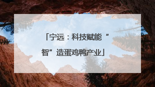 宁远：科技赋能“智”造蛋鸡鸭产业