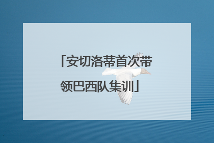安切洛蒂首次带领巴西队集训
