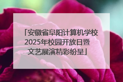 安徽省阜阳计算机学校2025年校园开放日暨文艺展演精彩纷呈