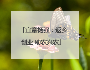 宜章杨强：返乡创业 助农兴农