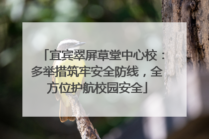 宜宾翠屏草堂中心校：多举措筑牢安全防线，全方位护航校园安全
