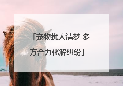 宠物扰人清梦 多方合力化解纠纷