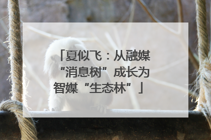 夏似飞：从融媒“消息树”成长为智媒“生态林”