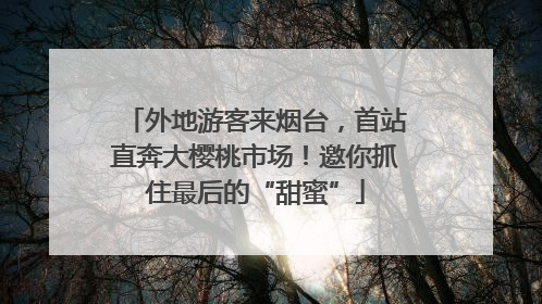 外地游客来烟台，首站直奔大樱桃市场！邀你抓住最后的“甜蜜”