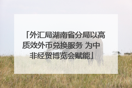 外汇局湖南省分局以高质效外币兑换服务 为中非经贸博览会赋能