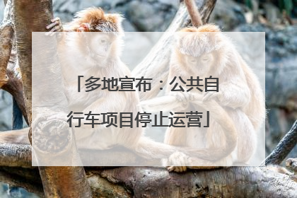 多地宣布：公共自行车项目停止运营