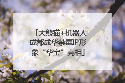 大熊猫+机器人 成都成华禁毒IP形象“华宝”亮相