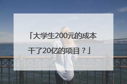大学生200元的成本干了20亿的项目？