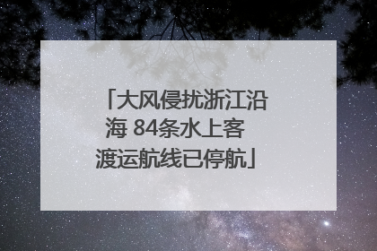 大风侵扰浙江沿海 84条水上客渡运航线已停航