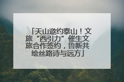 天山邀约泰山！文旅“西引力”催生文旅合作签约，鲁新共绘丝路诗与远方