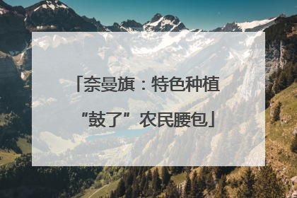奈曼旗：特色种植“鼓了”农民腰包