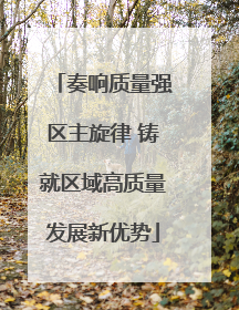 奏响质量强区主旋律 铸就区域高质量发展新优势