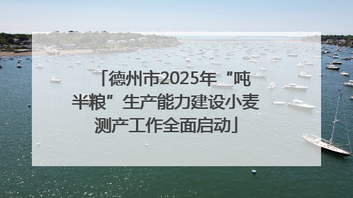 德州市2025年“吨半粮”生产能力建设小麦测产工作全面启动
