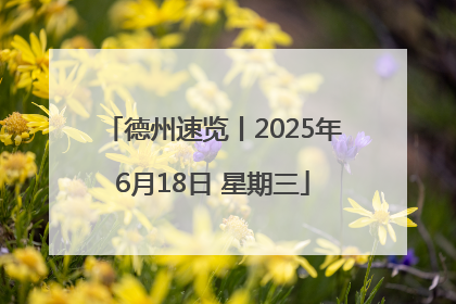 德州速览丨2025年6月18日 星期三