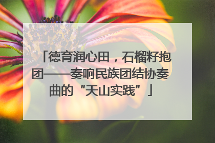 德育润心田，石榴籽抱团——奏响民族团结协奏曲的“天山实践”