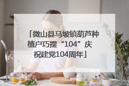 微山县马坡镇葫芦种植户巧摆“104”庆祝建党104周年