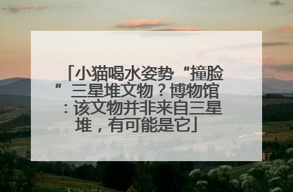 小猫喝水姿势“撞脸”三星堆文物？博物馆：该文物并非来自三星堆，有可能是它