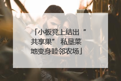 小板凳上结出“共享果” 私垦菜地变身睦邻农场