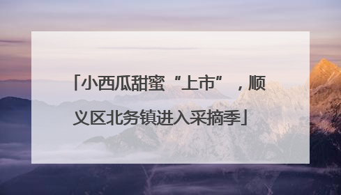 小西瓜甜蜜“上市”，顺义区北务镇进入采摘季