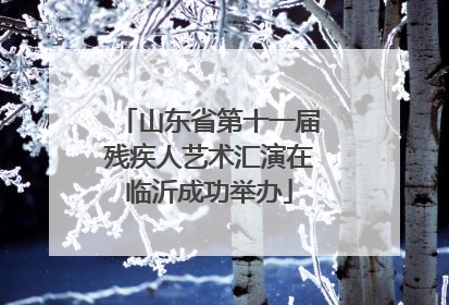 山东省第十一届残疾人艺术汇演在临沂成功举办
