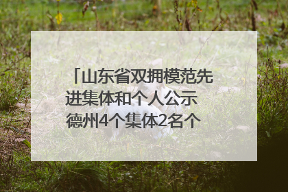 山东省双拥模范先进集体和个人公示 德州4个集体2名个人拟受表彰