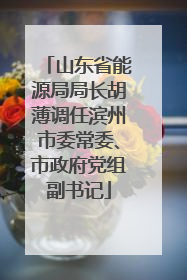 山东省能源局局长胡薄调任滨州市委常委、市政府党组副书记