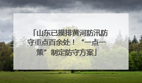 山东已摸排黄河防汛防守重点百余处！“一点一策”制定防守方案