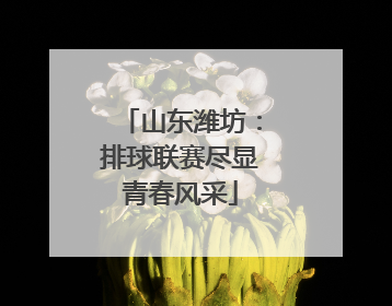 山东潍坊：排球联赛尽显青春风采