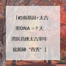 岭南基因+太古里DNA =？大湾区首座太古里年底揭秘“首秀”