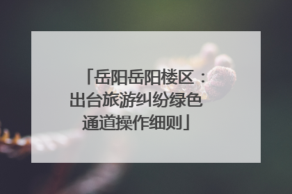 岳阳岳阳楼区：出台旅游纠纷绿色通道操作细则